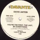 12'' - David Antebi - You're The First, The Last, My Everything
