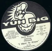 David Anthony - I Want To Know