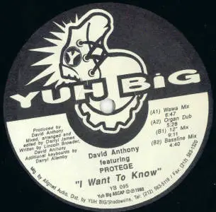 David Anthony - I Want To Know