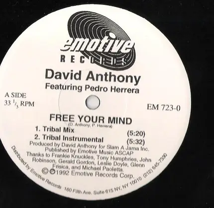 David Anthony Feat. Pedro Herrera - Free Your Mind