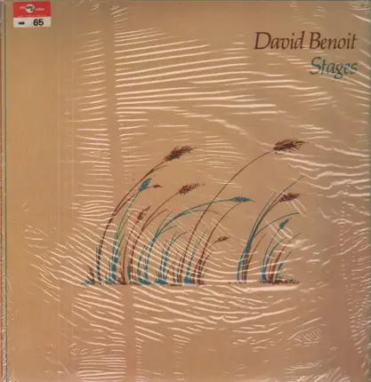 David Benoit - Stages