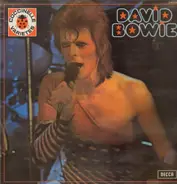 David Bowie - Collection Coccinelle