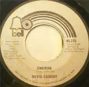 7'' - David Cassidy - Cherish / All I Wanna Do Is Touch You