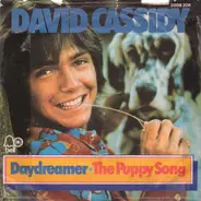 David Cassidy - Daydreamer