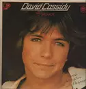 LP - David Cassidy - Forever