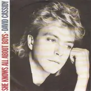 7'' - David Cassidy - She Knows All About Boys