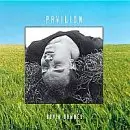 David Downes - Pavilion