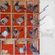 Davide Balula - Pellicule