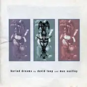 David Toop - Buried Dreams