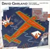 7'' - David Garland - Don't Shoot / I Am With You