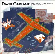 David Garland