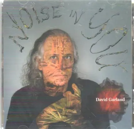 David Garland - Noise in You