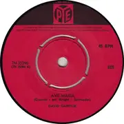 7'' - David Garrick - Ave Maria / Only A Rose