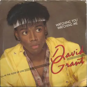 David Grant - Watching You, Watching Me