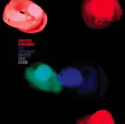 CD - DAVID GRUBBS - An Optimist Notes The Dusk