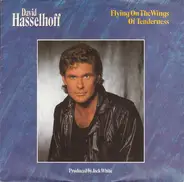 David Hasselhoff - Flying On The Wings Of Tenderness