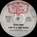 12'' - David Hines - Land Of A 1000 Dances - Promo