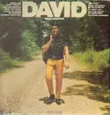LP - David Houston - David