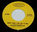7'' - David Houston - Where Could I Go (But To Her)