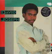 david Joseph - The Joys of Life