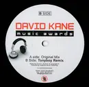 12'' - David Kane - Music Awards