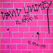 David Lindley - Live