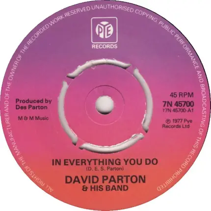 David Parton - In Everything You Do