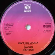 7'' - David Parton - Isn't She Lovely - Solid Centre