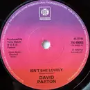 7'' - David Parton - Isn't She Lovely - Solid Centre