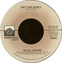 7'' - David Parton - Isn't She Lovely / Love And Peace Of Mind