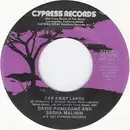 7'' - David Pomeranz & Sasha Malinin - Far Away Lands