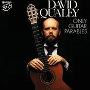 David Qualey - Only Guitar Parables