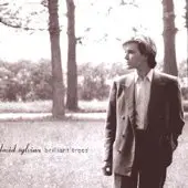 David Sylvian - Brilliant  Trees