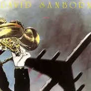 David Sanborn - Taking Off