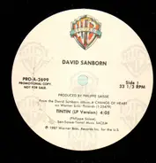 David Sanborn - Tintin