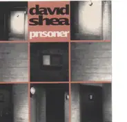 David Shea - Prisoner