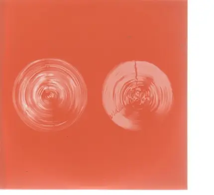 David Shea - Rituals