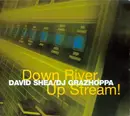 CD - David Shea / DJ Grazzhoppa - Down River, Up Stream!