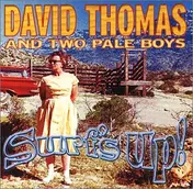 David Thomas & Two Pale Boys - Surf's Up