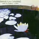 CD - DAVID & THE CITIZENS - Until The Sadness Is Gone