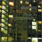 David Toop - 37th Floor at Sunset