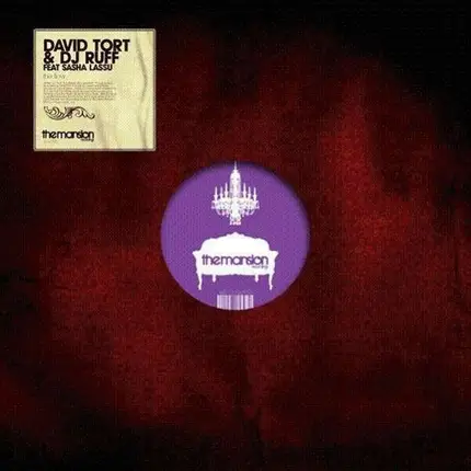 DAVID TORT - FLOW