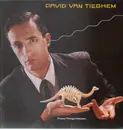 LP - David Van Tieghem - These Things Happen