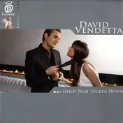 david vendetta - Hold That Sucker Down