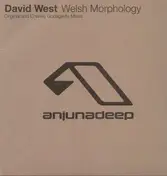 David West - WELSH MORPHOLOGY