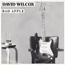 7'' - David Wilcox - Bad Apple