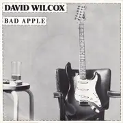 7'' - David Wilcox - Bad Apple