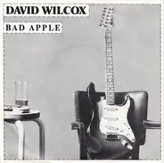 David Wilcox - Bad Apple