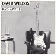 David Wilcox - Bad Apple
