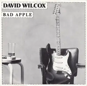 David Wilcox - Bad Apple
